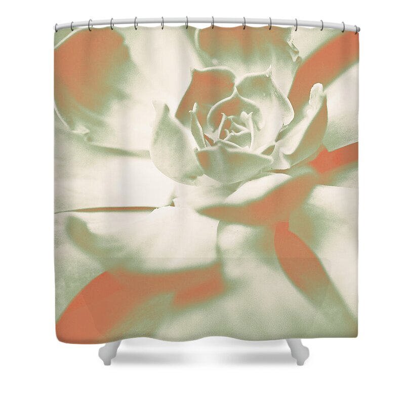 Terracotta Shower Curtain featuring the photograph Terracotta Succulent by Susan Bryant