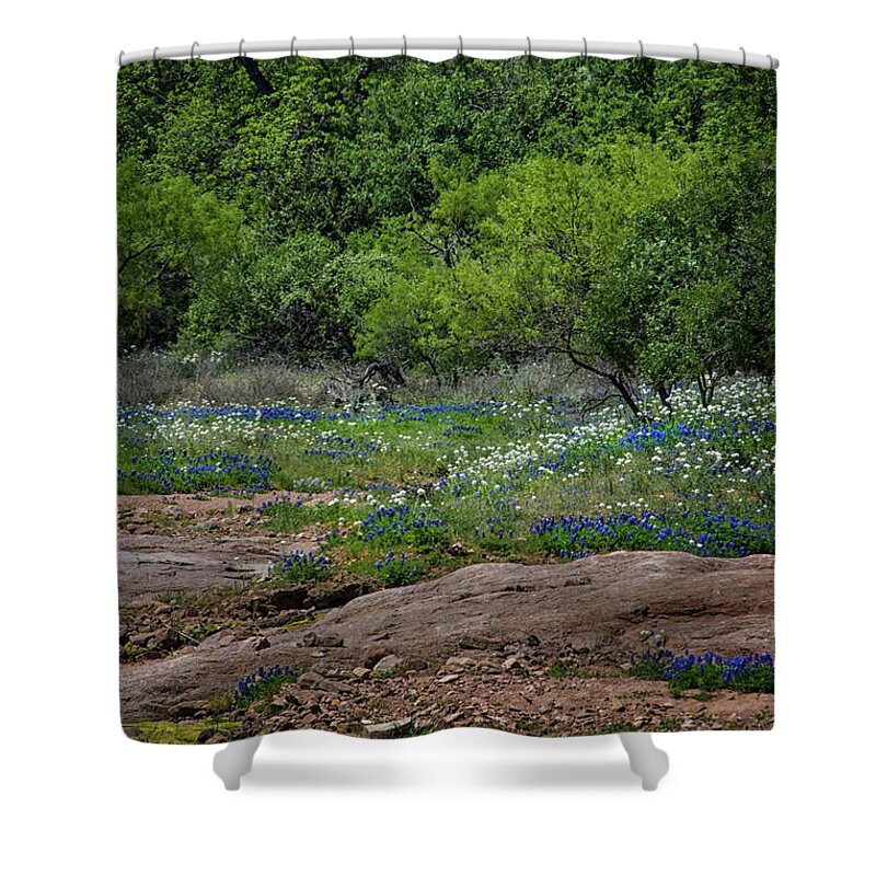 Wild Flowers Shower Curtain featuring the photograph Texas Bloom by Jolynn Reed