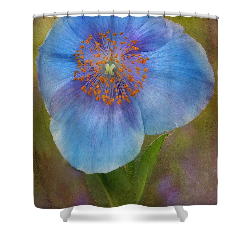 Poppy Shower Curtain featuring the photograph Textured Blue Poppy Flower by Susan Candelario