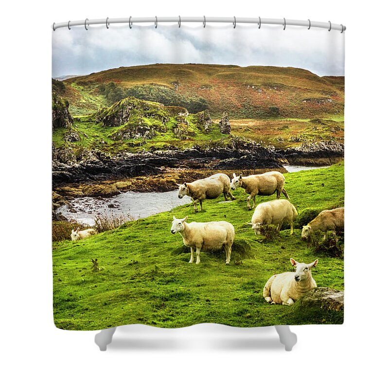 Clouds Shower Curtain featuring the photograph The Beautiful Isle of Kerrera by Debra and Dave Vanderlaan