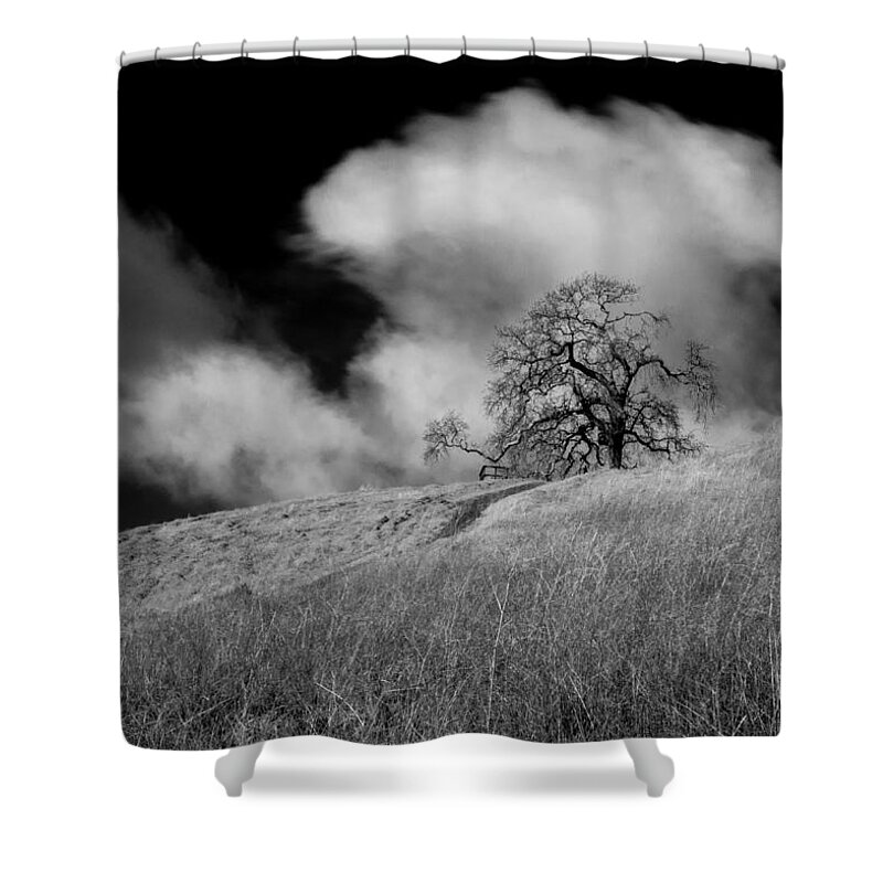 Panoramic Shower Curtain featuring the photograph The clouds and the tree by Alessandra RC