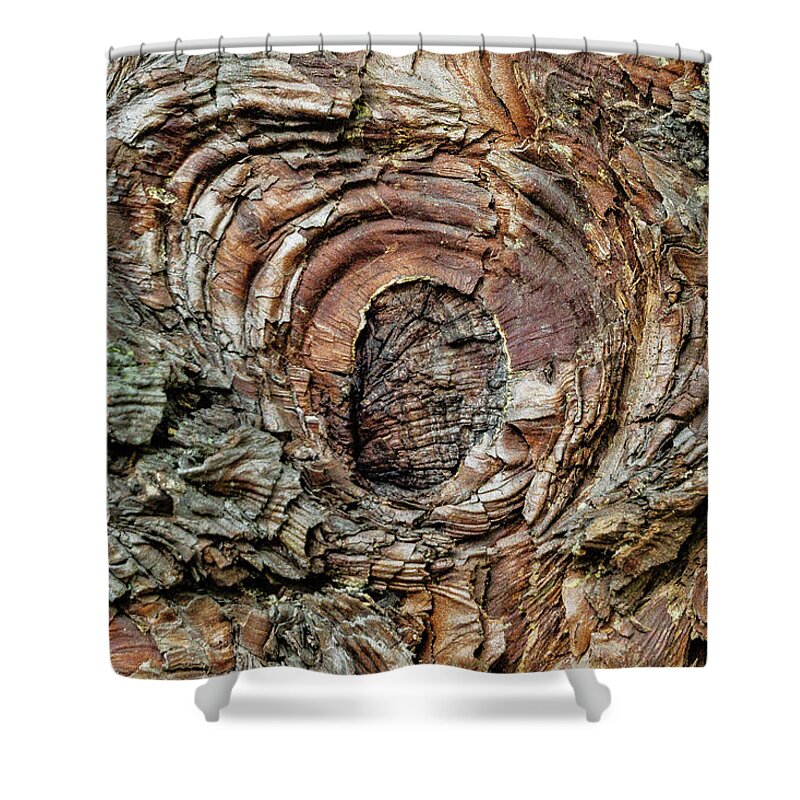 Abstract Shower Curtain featuring the photograph The Colors Of The Wood by Silvia Marcoschamer