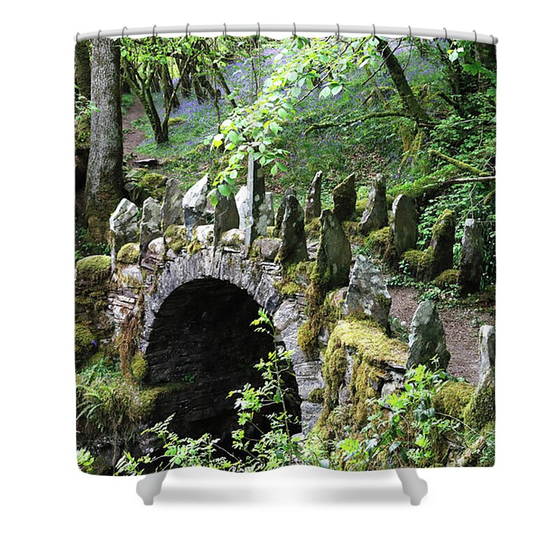 Faerie Bridge Shower Curtain featuring the photograph The Enchanted Forest by Nicholas Blackwell