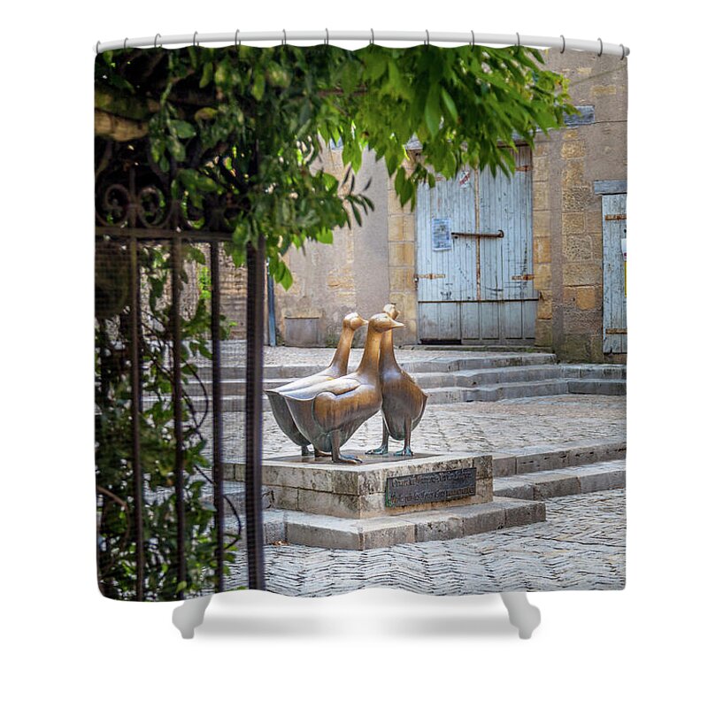 Statue Shower Curtain featuring the photograph The Famous Geese of Sarlat by W Chris Fooshee
