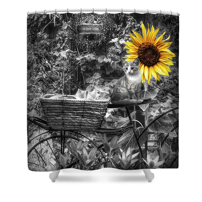 Barns Shower Curtain featuring the photograph The Garden Barn in Black and White with Yellow Sunflower by Debra and Dave Vanderlaan