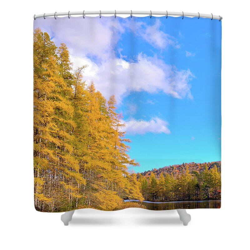 Hdr Shower Curtain featuring the photograph The Golden Tamaracks by David Patterson