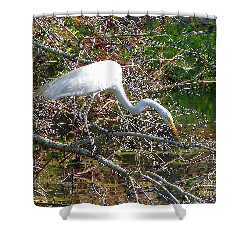 Great Egret Shower Curtain featuring the photograph The Hunter by Scott Cameron