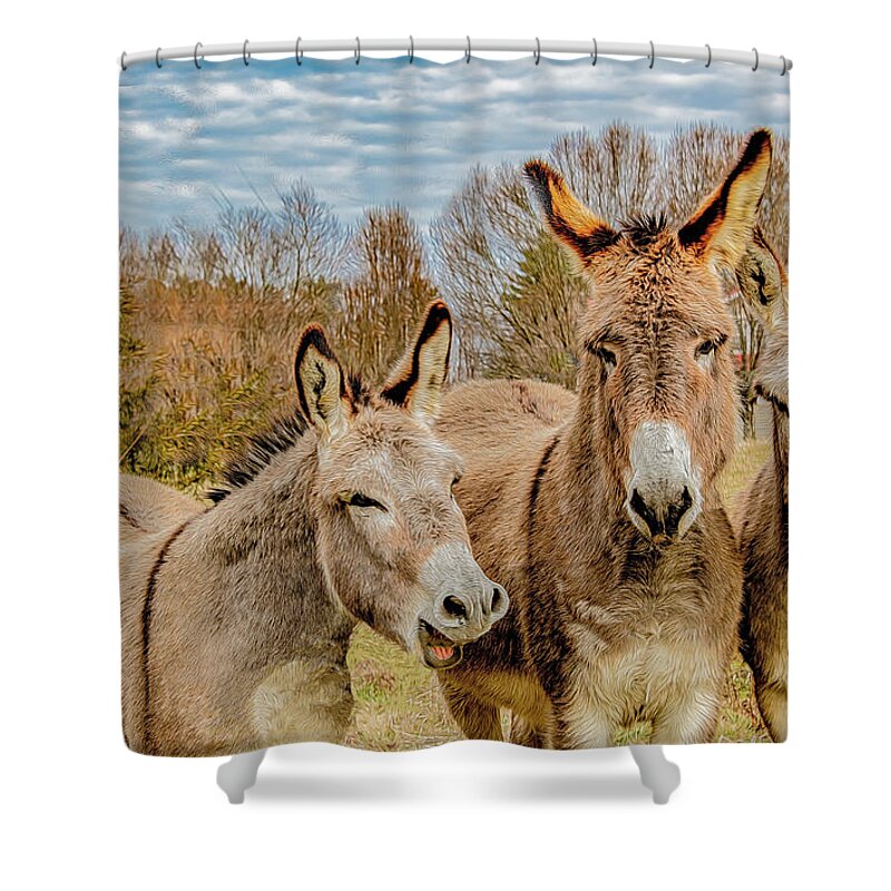 Mules Shower Curtain featuring the photograph The Joke's On Me by Marcy Wielfaert