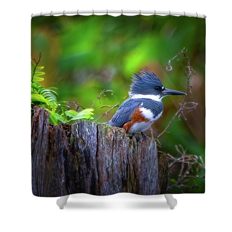Kingfisher Shower Curtain featuring the photograph The Kingfisher by Mark Andrew Thomas