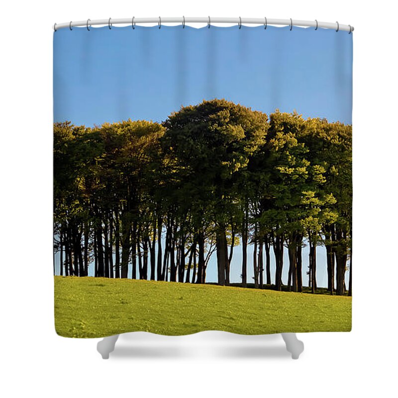The Nearly Home Trees Shower Curtain featuring the photograph The Nearly Home Trees by Terri Waters