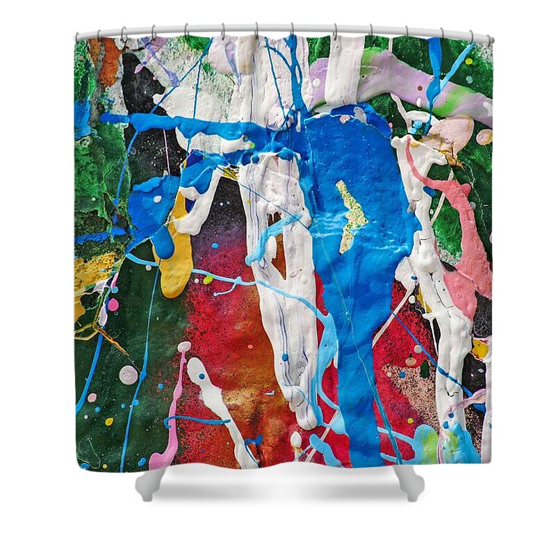 Pollock Shower Curtain featuring the painting The New Jackson Pollock by Don Northup