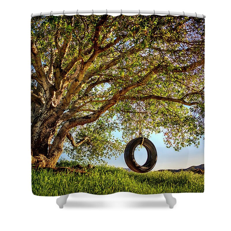 Oak Tree Shower Curtain featuring the photograph The Old Tire Swing by Endre Balogh