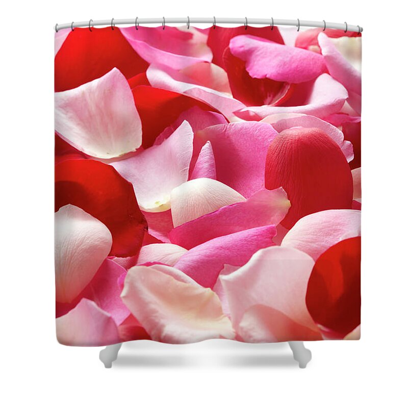 Natural Pattern Shower Curtain featuring the photograph The Petal Which Was Spread by Yuji Kotani