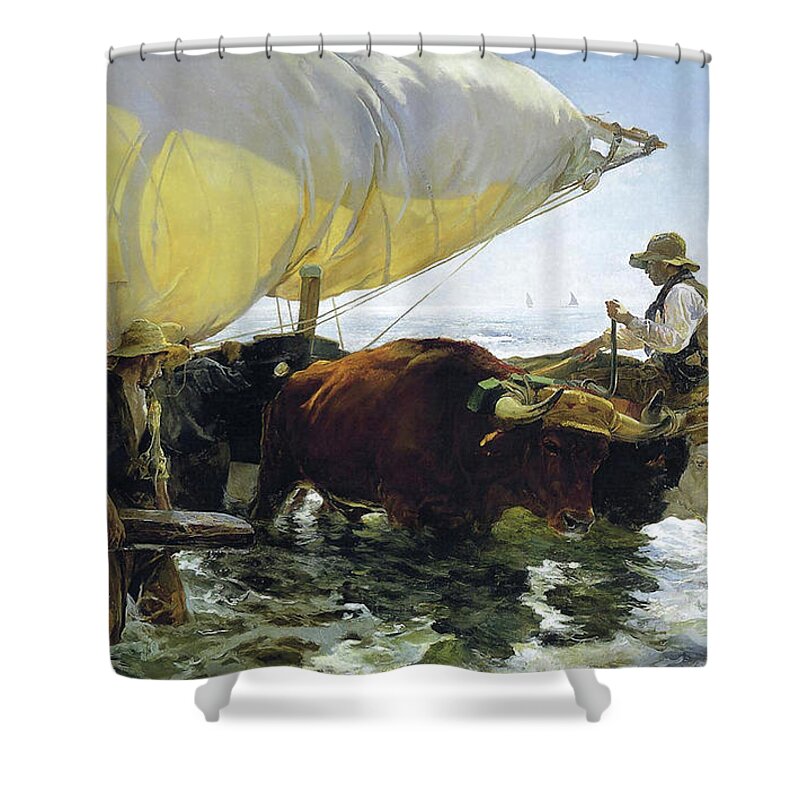 Return From Fishing Of 1905 Shower Curtain featuring the painting The Return from Fishing of 1905 by Juaquin Sorolla