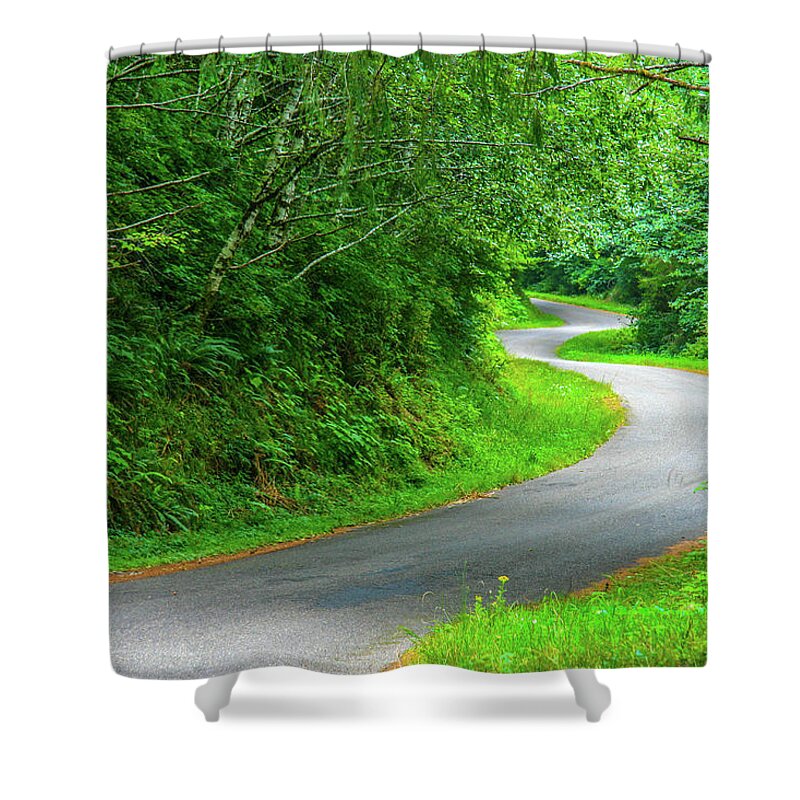 Road Shower Curtain featuring the photograph The road less travelled by Leslie Struxness