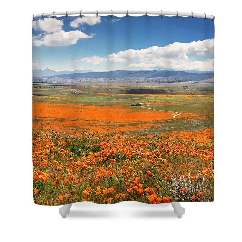  Shower Curtain featuring the photograph The Road Through The Poppies 1 by Endre Balogh