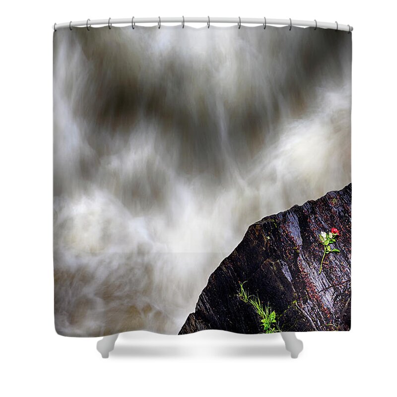 Scotland Shower Curtain featuring the photograph The Rose of Black Linn Falls - The Hermitage - Dunkeld Scotland by Jason Politte