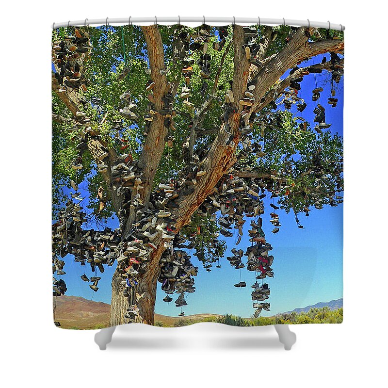 Trees Shower Curtain featuring the photograph The Shoe Tree by David Bailey