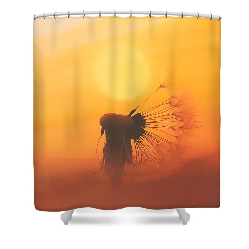 Sun Shower Curtain featuring the photograph The Sun by Jaroslav Buna