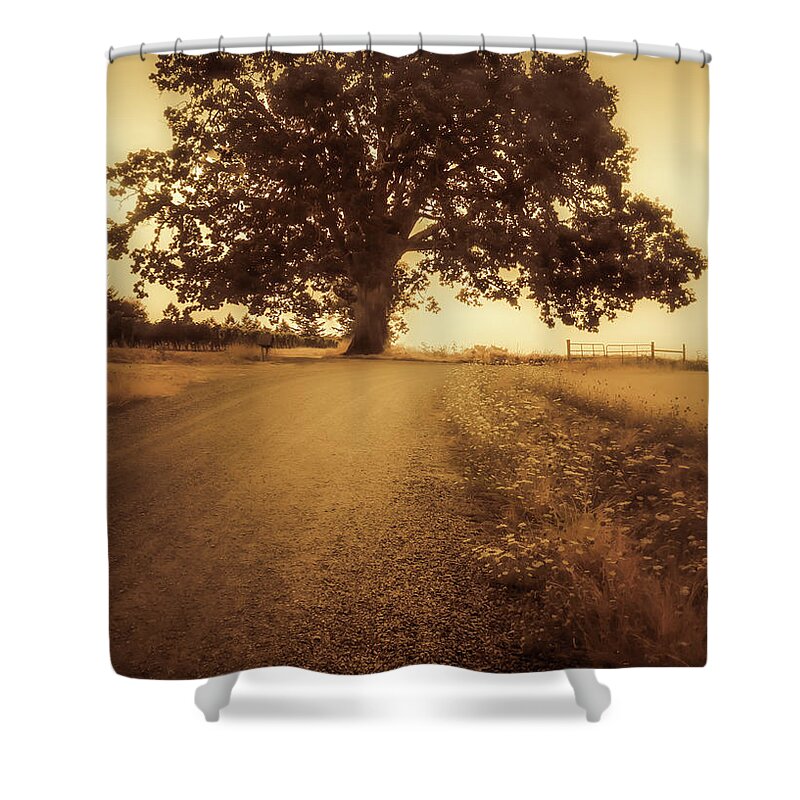 Hillsboro Shower Curtain featuring the photograph The Tree at the End of the Road by Don Schwartz