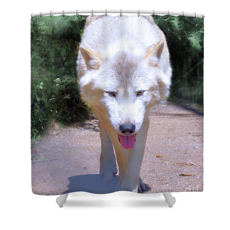 Wolf Shower Curtain featuring the photograph The White Wolf by Elaine Manley