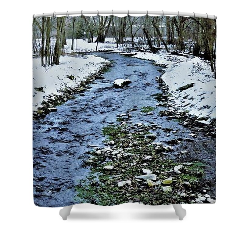Stream Shower Curtain featuring the photograph The Winter Spring by Lori Frisch