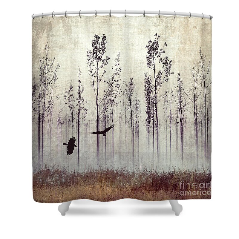 Raven Shower Curtain featuring the photograph There are always two by Priska Wettstein
