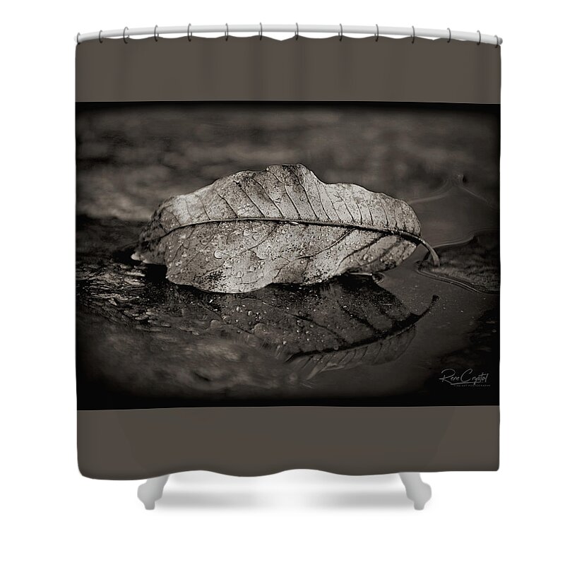 Fall Shower Curtain featuring the photograph This Fall I Fell... by Rene Crystal
