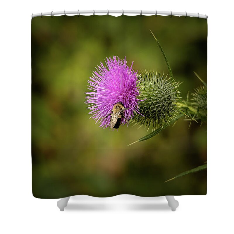 Elizabeth Dow Photography Shower Curtain featuring the photograph Thistle Magic by Elizabeth Dow