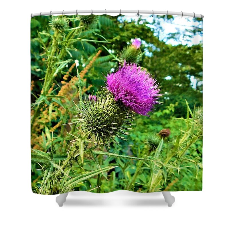 - Thistle Shower Curtain featuring the photograph - Thistle by THERESA Nye