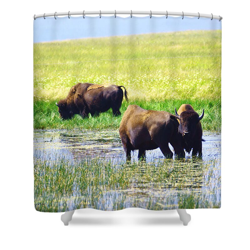 Bison Shower Curtain featuring the photograph Three Amigos by Tracey Vivar