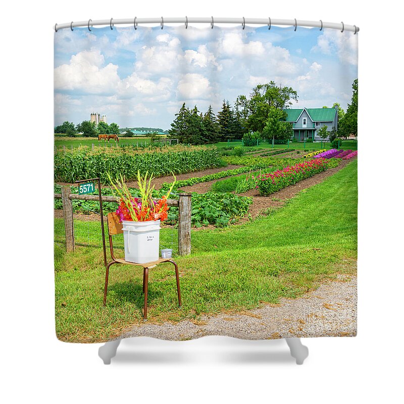 Square Shower Curtain featuring the photograph Three for a Dollar by Lenore Locken