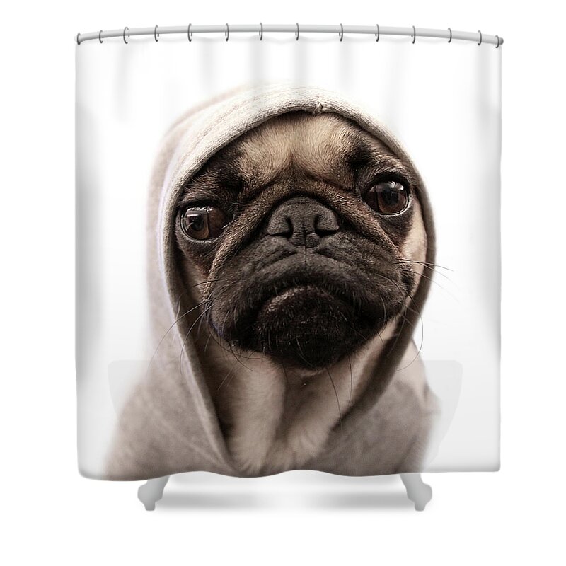 Pets Shower Curtain featuring the photograph Thug Pug by Cj Foeckler