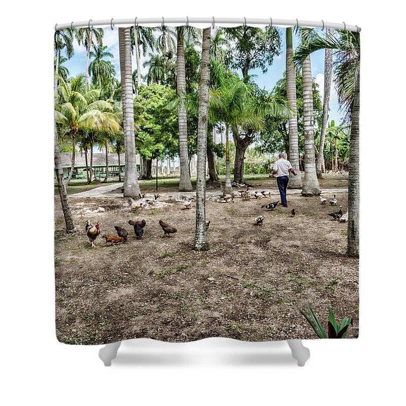Time To Feed The Chickens Shower Curtain featuring the photograph Time to Feed the Chickens by Sharon Popek