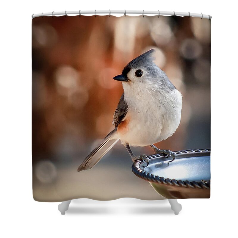 Titmouse Shower Curtain featuring the photograph Titmouse by James Barber