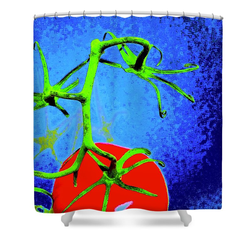 Photo Stream Shower Curtain featuring the photograph Tomato Red by Debra Grace Addison