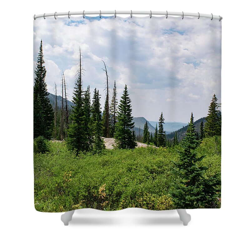 Mountain Shower Curtain featuring the photograph Trail to Gilpin Lake by Nicole Lloyd