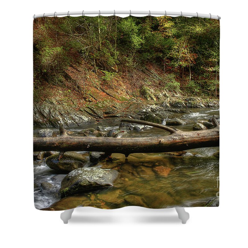 Tree Shower Curtain featuring the photograph Tree Across The River by Mike Eingle