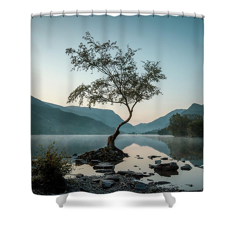 Llanberis Shower Curtain featuring the photograph Tree at Llyn Padarn by David Lichtneker