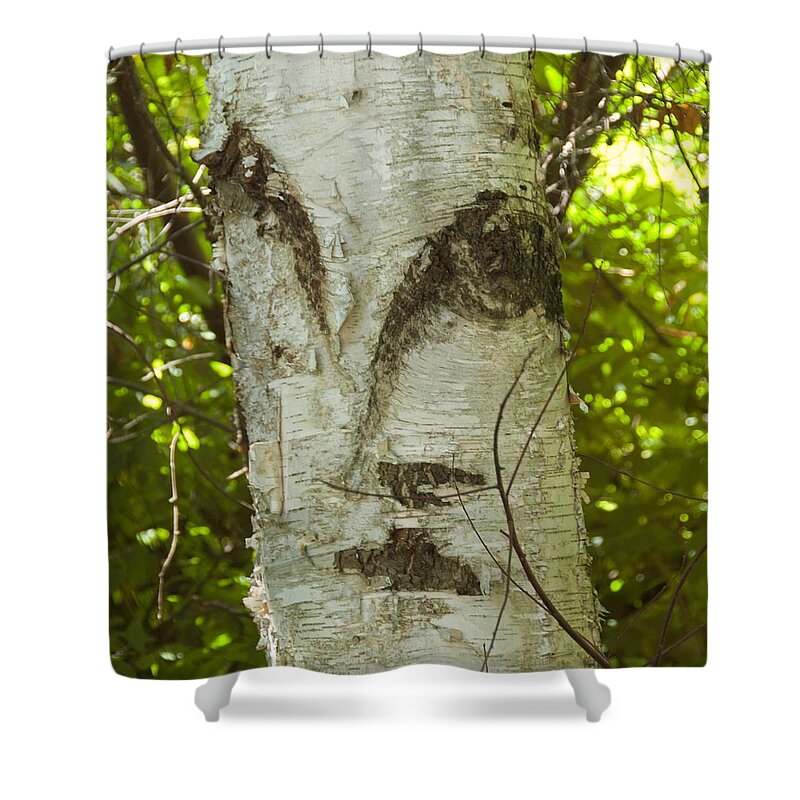 Tree Shower Curtain featuring the photograph Tree Face by Marty Klar
