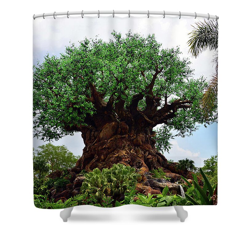Tree Of Life Shower Curtain featuring the photograph Tree of Life landscape by David Lee Thompson