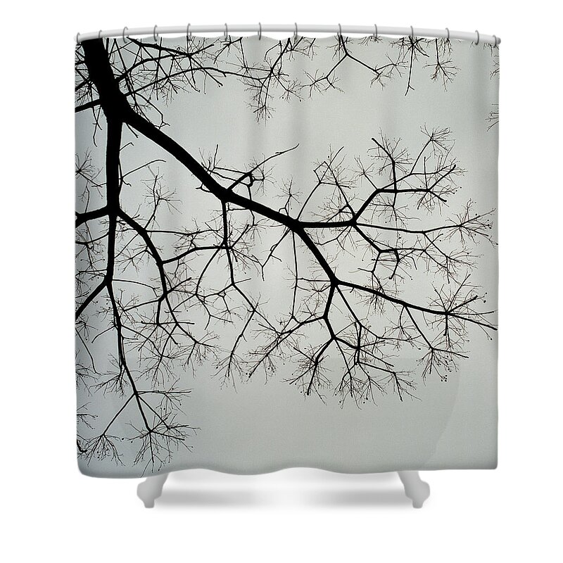 Tranquility Shower Curtain featuring the photograph Tree by Photography By Bert.design