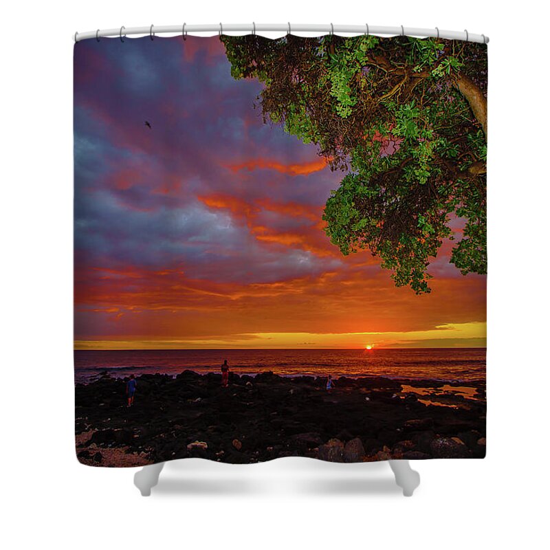 Hawaii Shower Curtain featuring the photograph Tree Sea and Sun by John Bauer