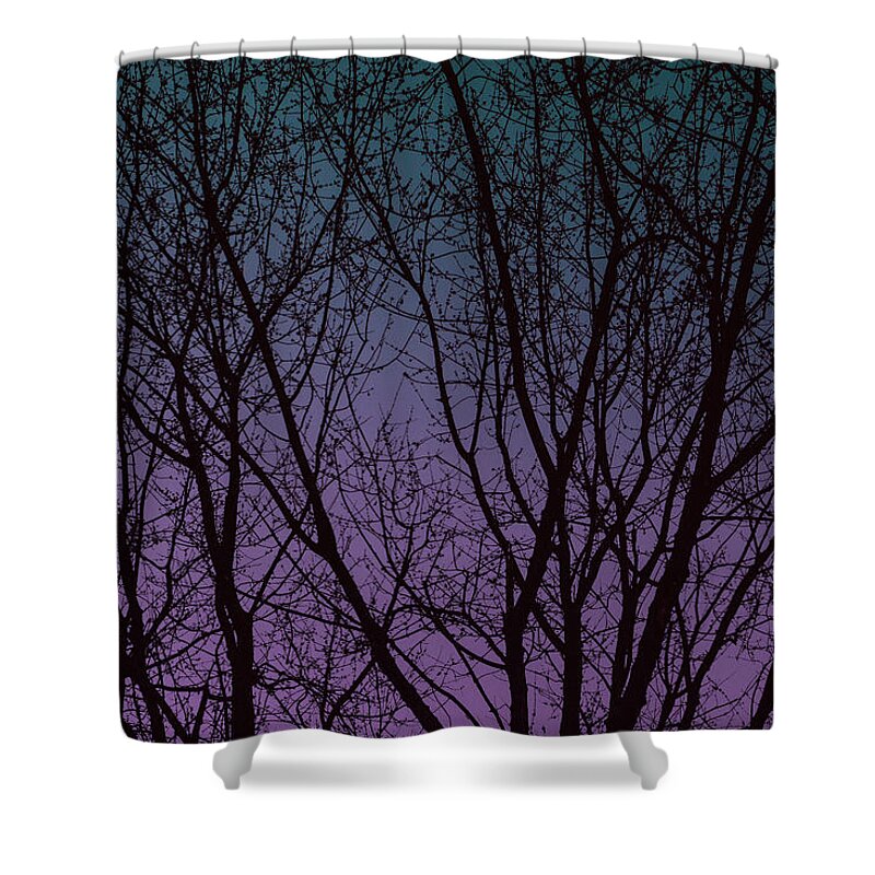 Trees Shower Curtain featuring the digital art Tree Silhouette Against Blue and Purple by Jason Fink