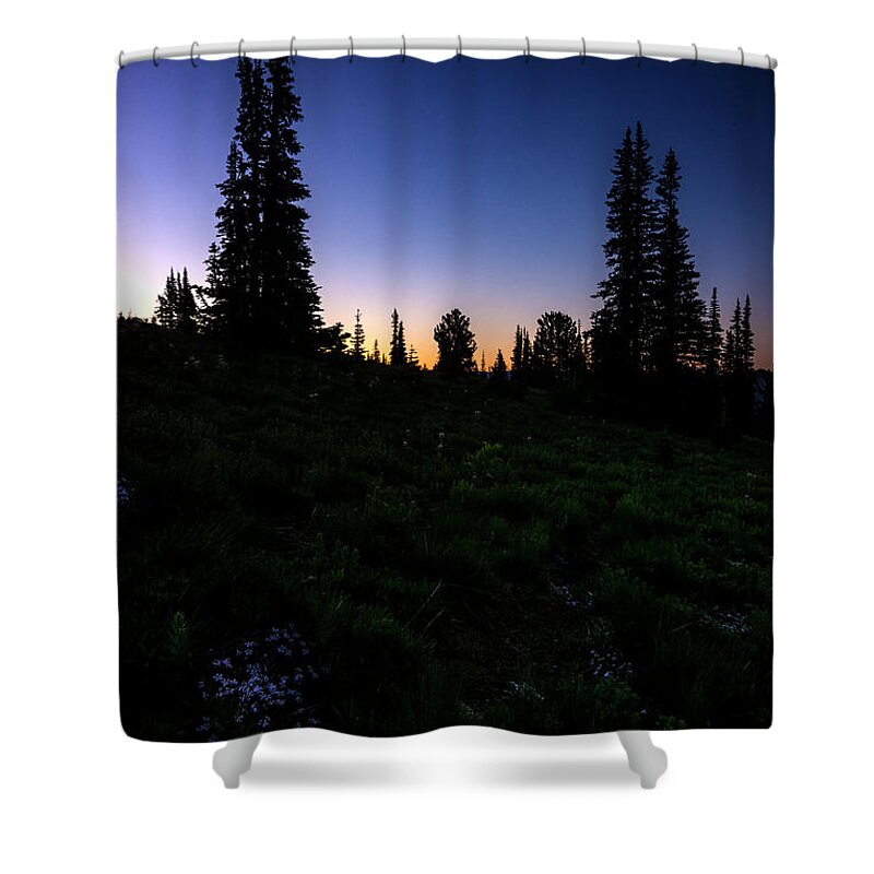 Tree Shower Curtain featuring the photograph Tree Silhouette Sunrise 2 by Pelo Blanco Photo