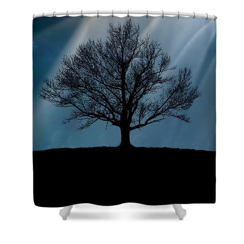 Majestic Shower Curtain featuring the photograph Tree Silhouette, Upstate New York by Shobeir Ansari