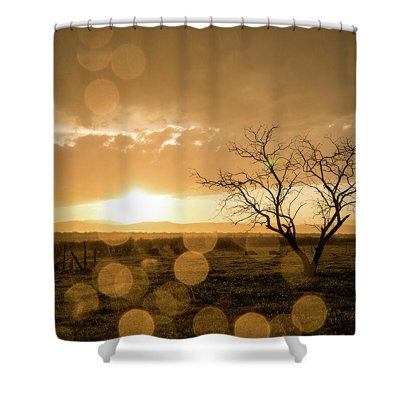 Sunset Shower Curtain featuring the photograph Tree Sunset by Wesley Aston