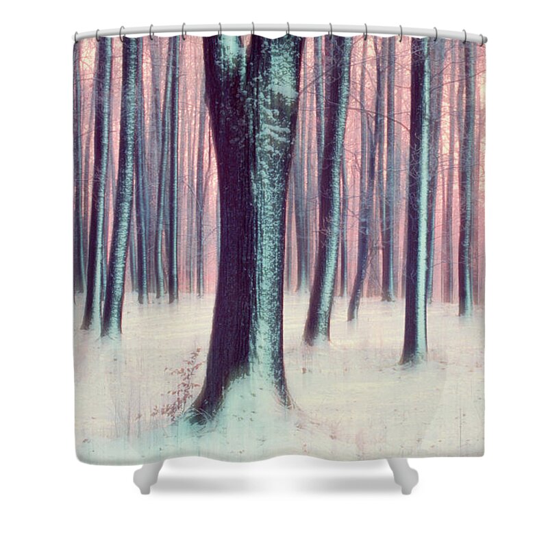 Snow Shower Curtain featuring the photograph Tree Trunks In Winter by Martin Ruegner