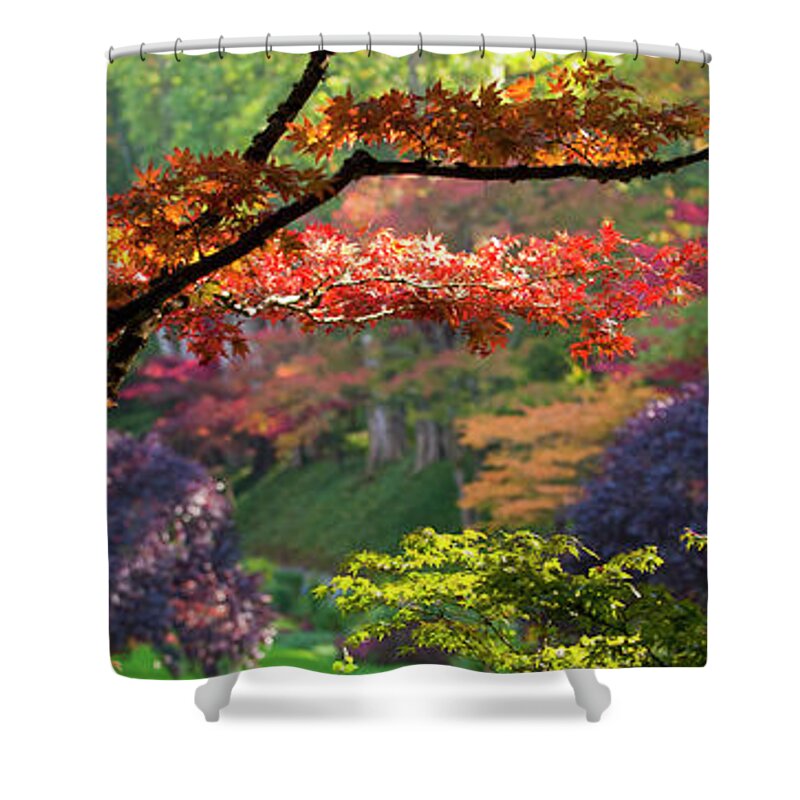 Photography Shower Curtain featuring the photograph Trees In A Garden, Butchart Gardens by Panoramic Images