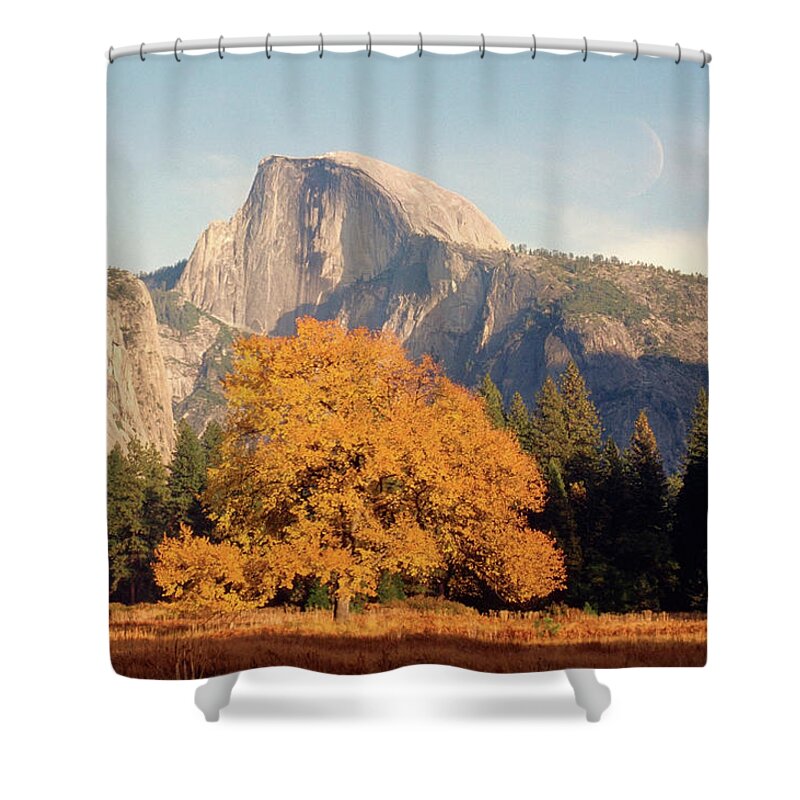 Scenics Shower Curtain featuring the photograph Trees On A Mountain, El Capitan by Medioimages/photodisc